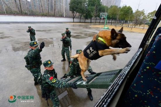 安徽武警備戰(zhàn)春運出動無人機 警犬搶鏡