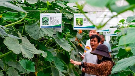 空間站與“卡脖子”，中國在警醒中爭取“逆襲