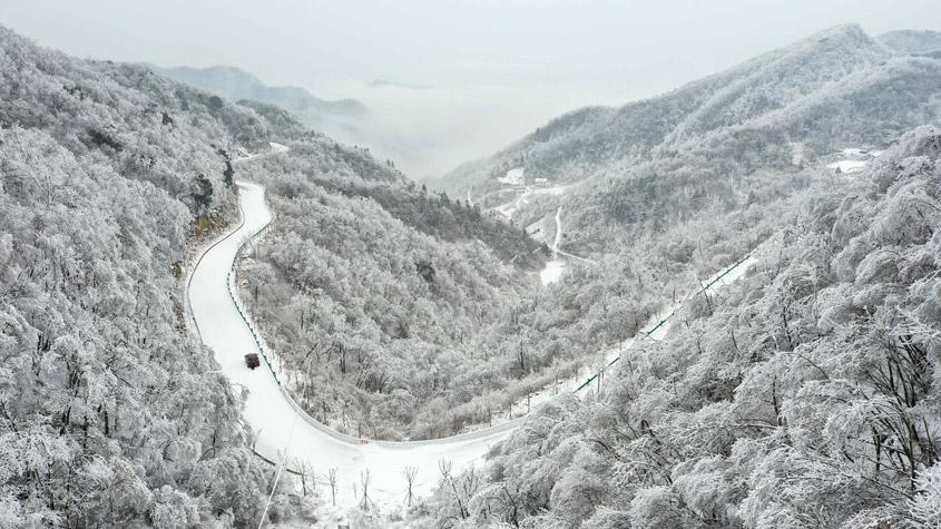 湖北?？惮F(xiàn)森林霧凇景觀 如水墨畫(huà)卷