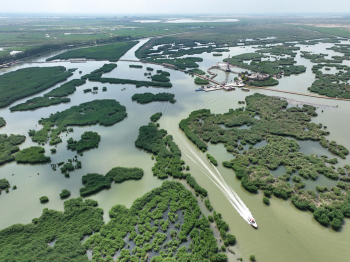 沙水相依 航拍寧夏沙湖濕地夏日風(fēng)光